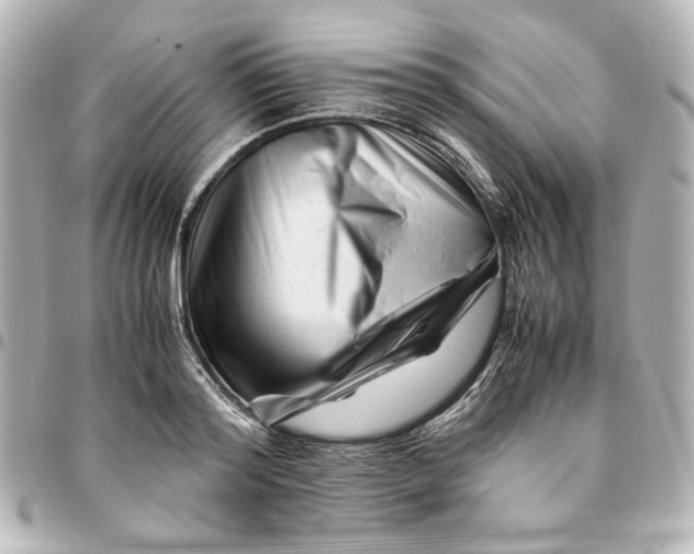 X0000094930796200712201051