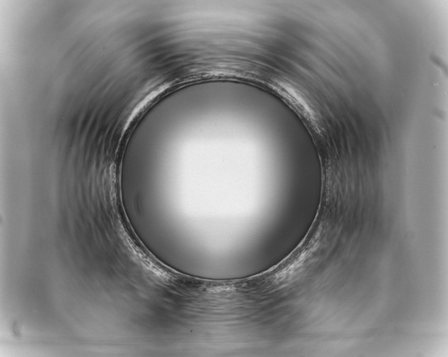 X0000094930798200712201051