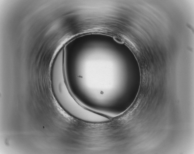 X0000094930800200712201051