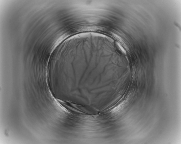 X0000094930802200712201051