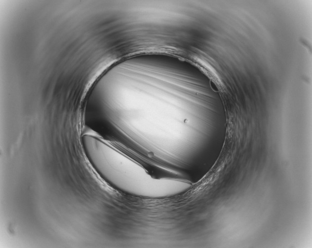 X0000094930804200712201051