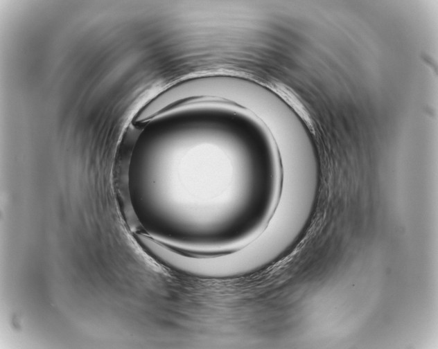 X0000094930805200712201051