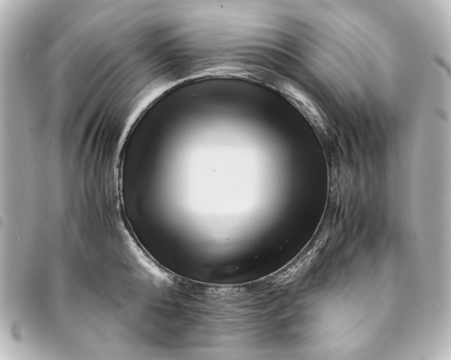 X0000094930808200712201051