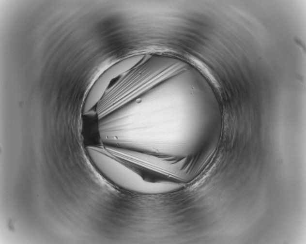 X0000094930810200712201051