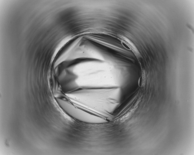 X0000094930812200712201051