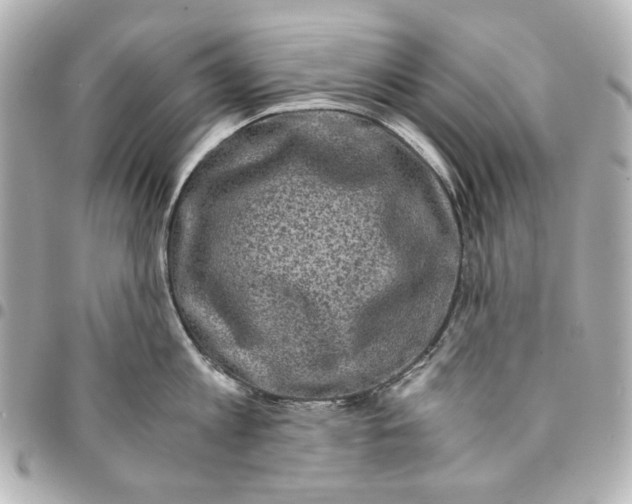 X0000094930813200712201051