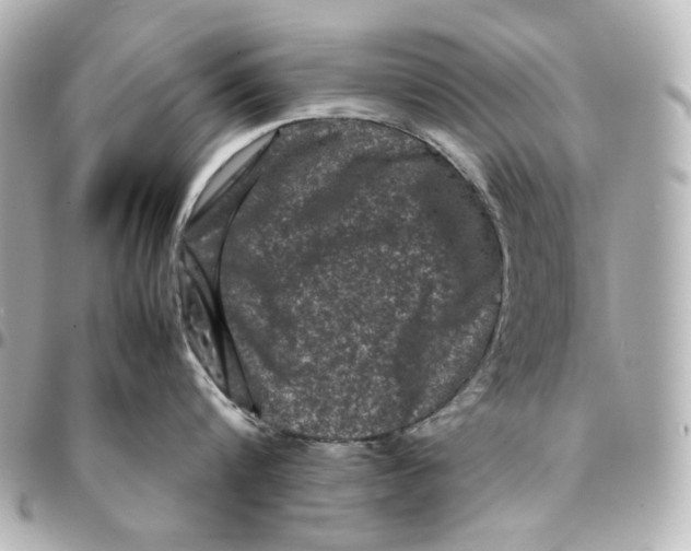 X0000094930816200712201051