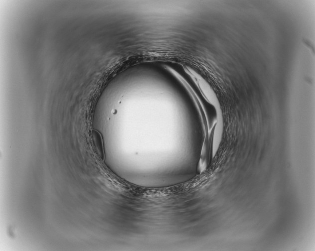 X0000094930817200712201050
