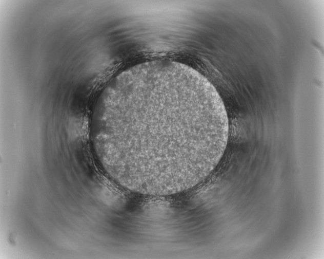 X0000094930820200712201050