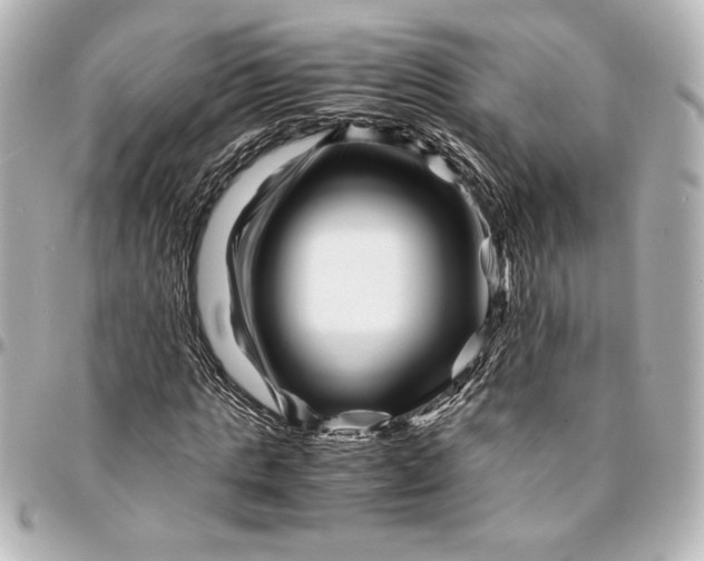 X0000094930821200712201050