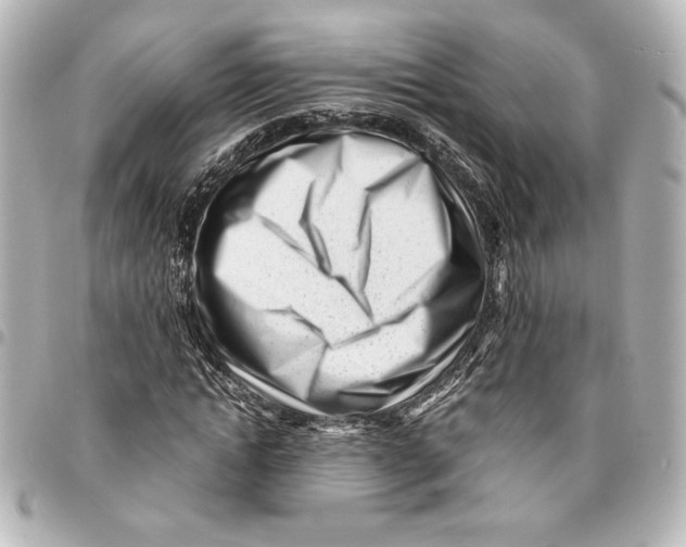 X0000094930822200712201050
