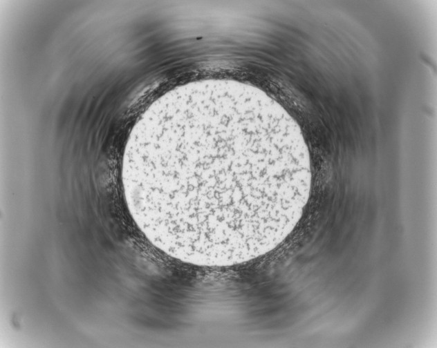 X0000094930824200712201050
