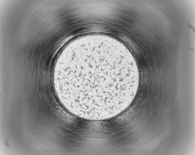 X0000094930828200712201051