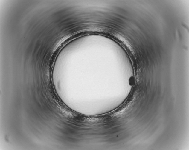 X0000094930829200712201051