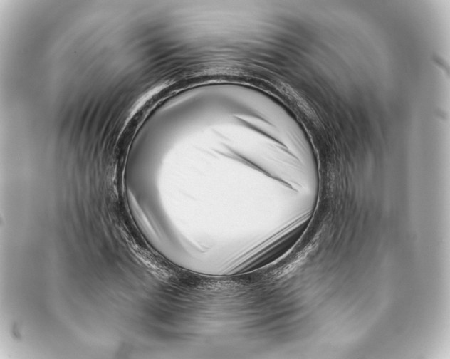 X0000094930830200712201051