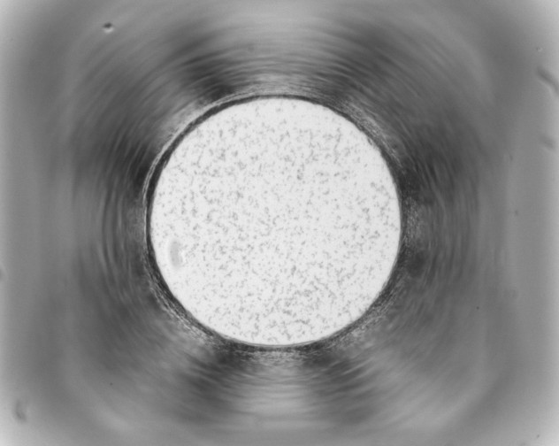 X0000094930836200712201051