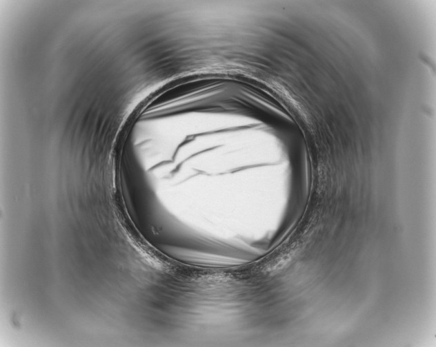 X0000094930838200712201051