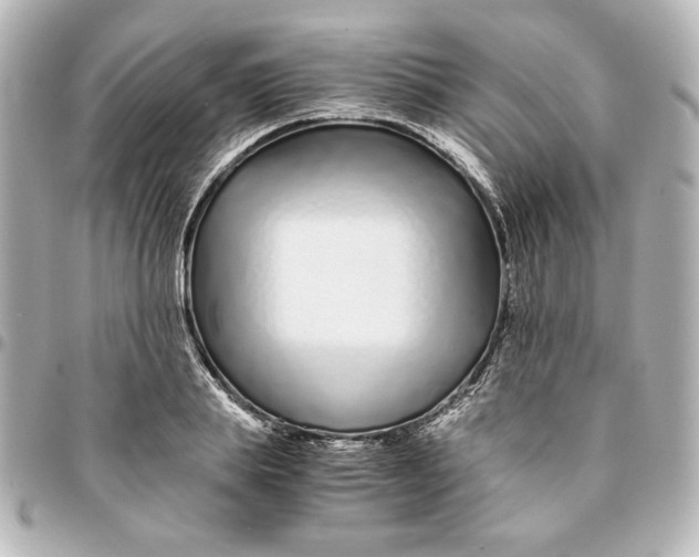 X0000094930839200712201051