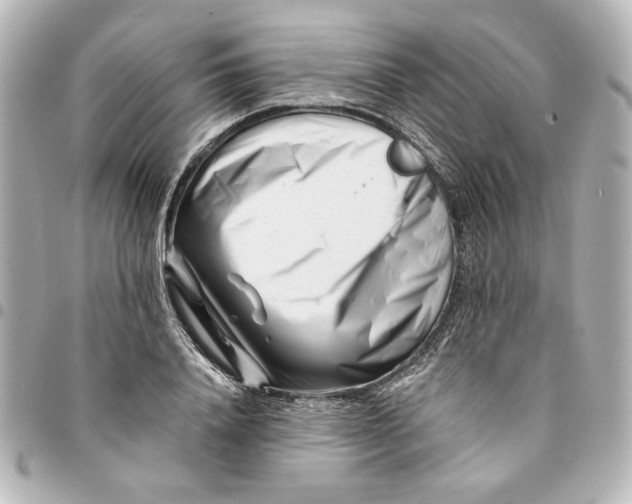 X0000094930840200712201051