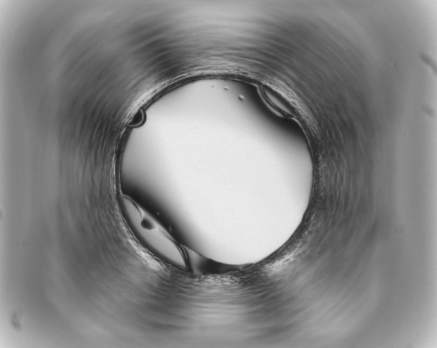 X0000094930842200712201051