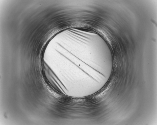 X0000094930843200712201051