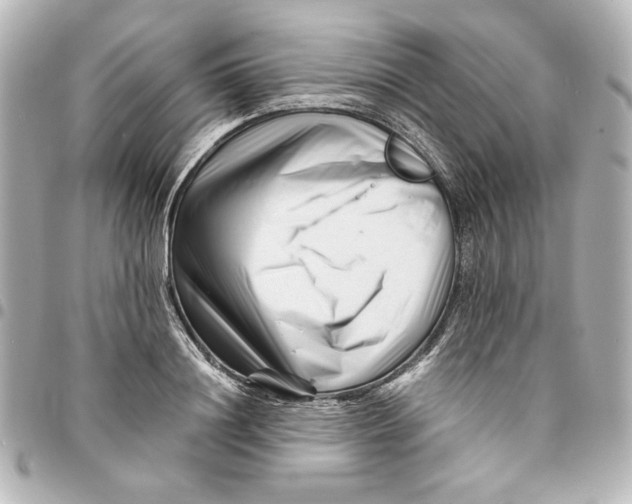X0000094930844200712201051