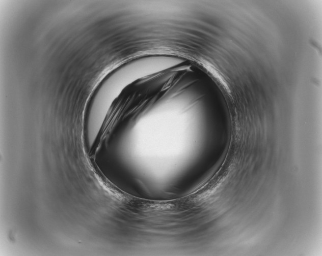 X0000094930845200712201051