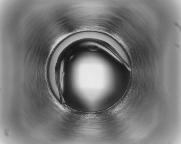 X0000094930846200712201051