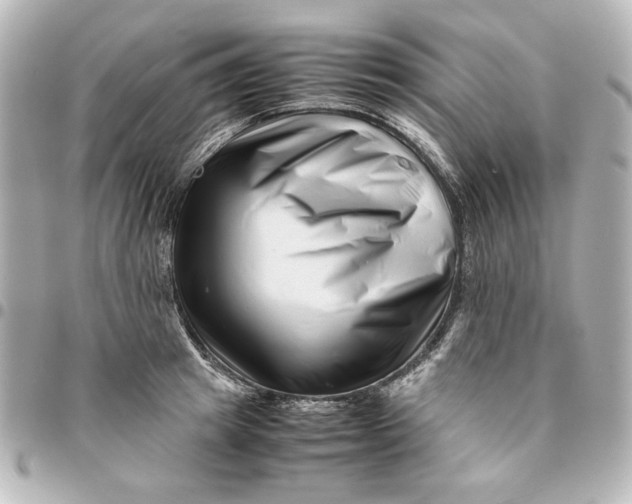 X0000094930849200712201051