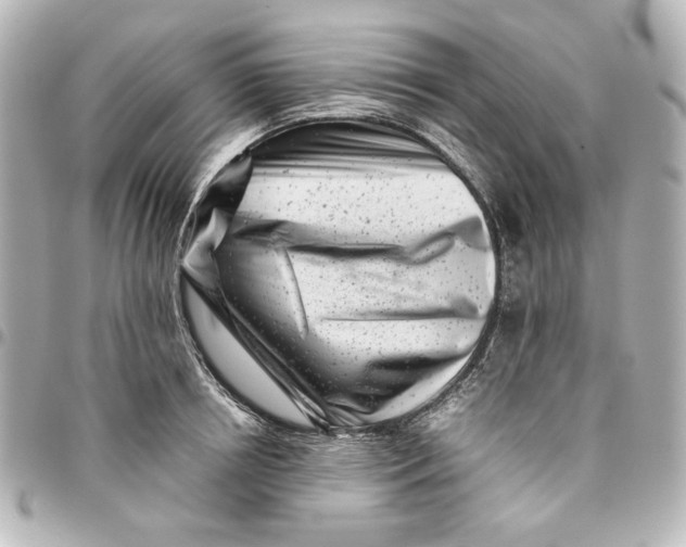 X0000094930850200712201051