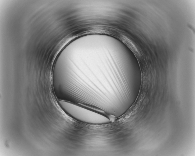 X0000094930852200712201051