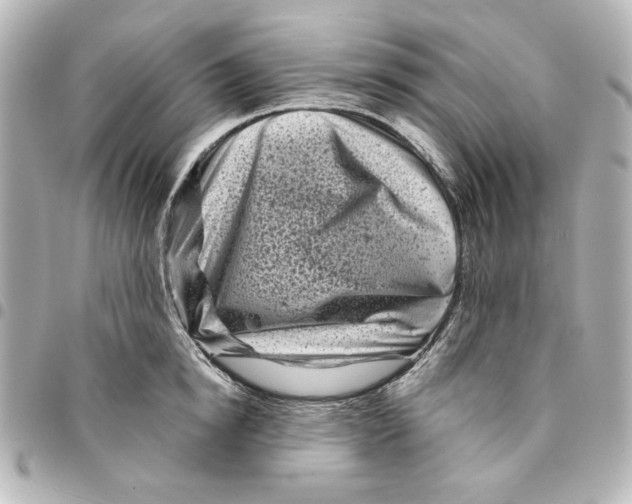 X0000094930854200712201051