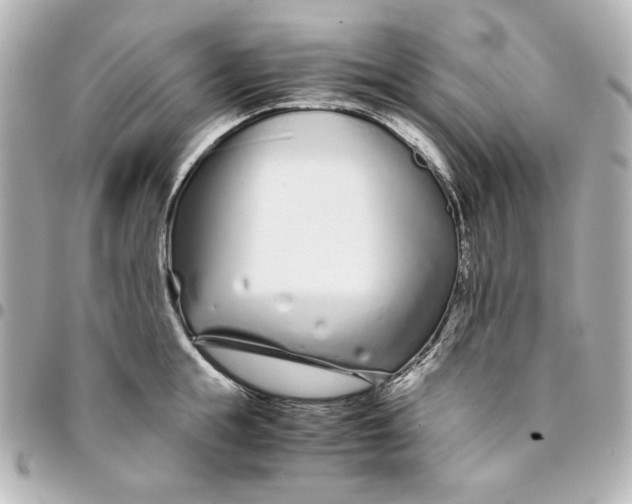 X0000094930855200712201051