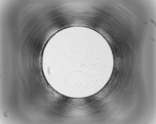 X0000094930856200712201051
