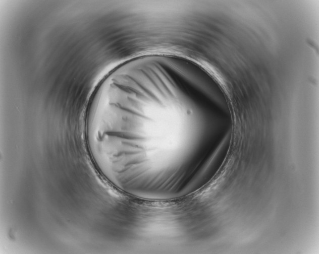 X0000094930862200712201051
