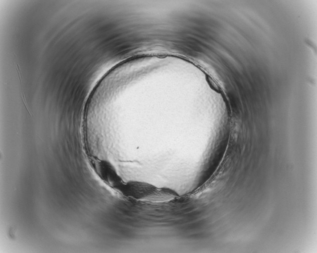 X0000094930863200712201051
