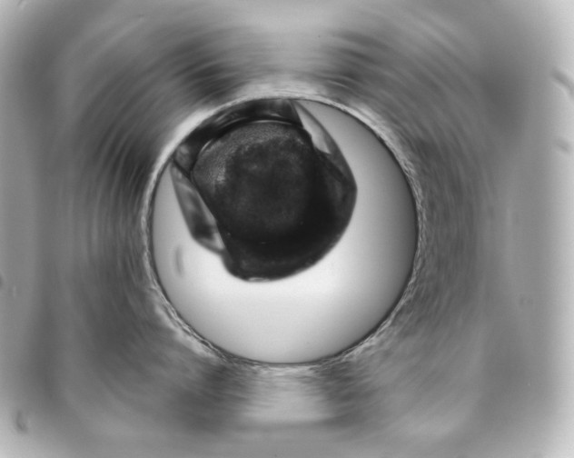 X0000094930864200712201051