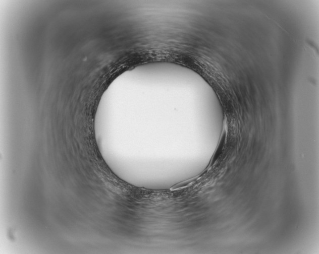 X0000094930865200712201050