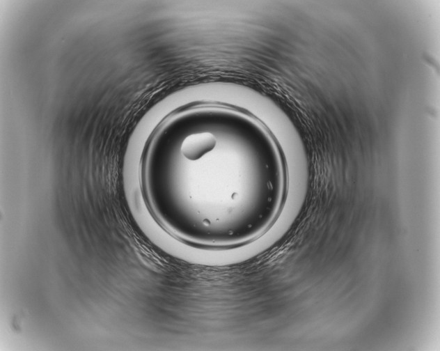 X0000094930868200712201050