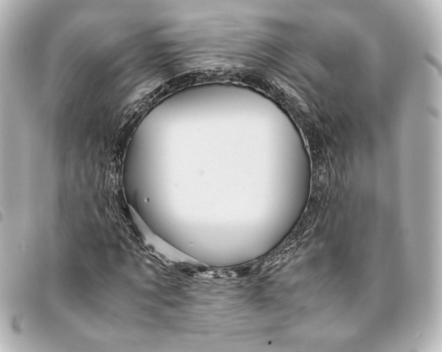 X0000094930869200712201050