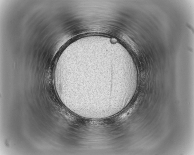X0000094930875200712201050