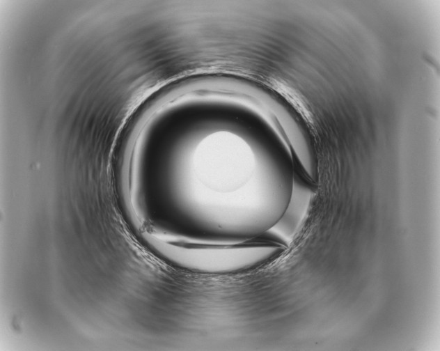X0000094930876200712201050