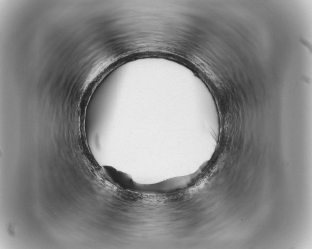 X0000094930877200712201050
