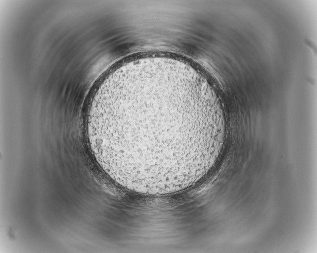 X0000094930879200712201050