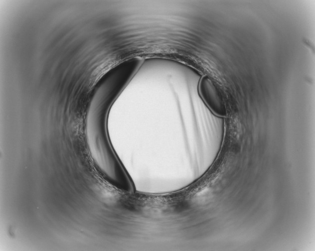 X0000094930881200712201050