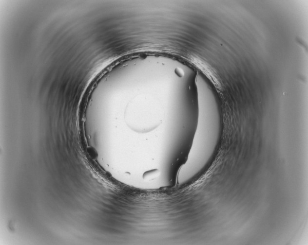 X0000094930884200712201050
