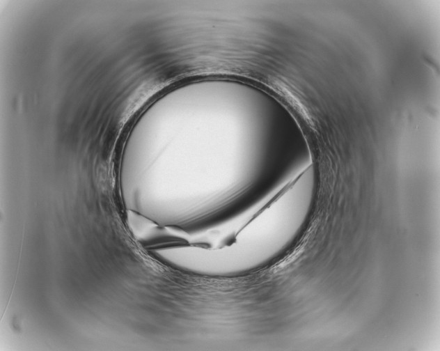 X0000094930885200712201050