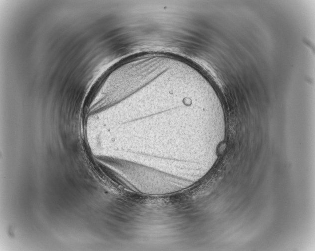 X0000094930887200712201050