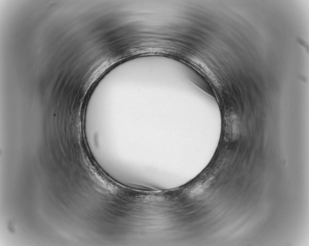 X0000094930890200712201050
