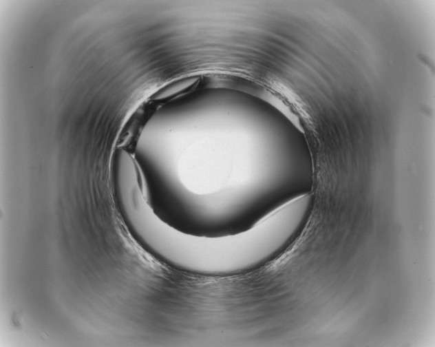 X0000094930892200712201050